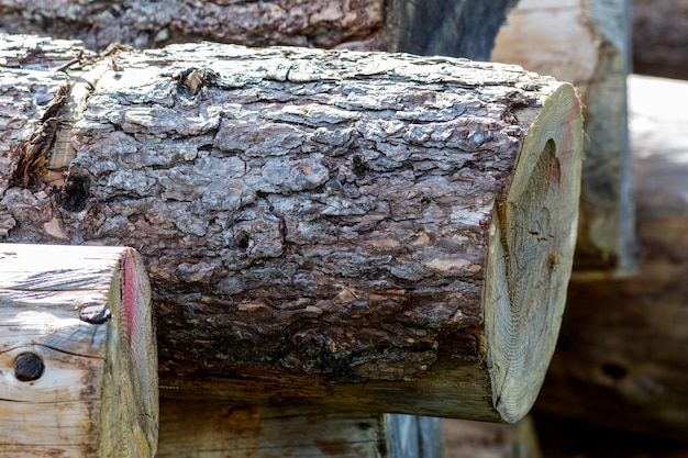 крупным планом фото распиленных деревянных бревен
