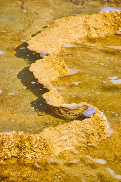 Up close to terrace shelf filled with water in yellowstone hot\
spring