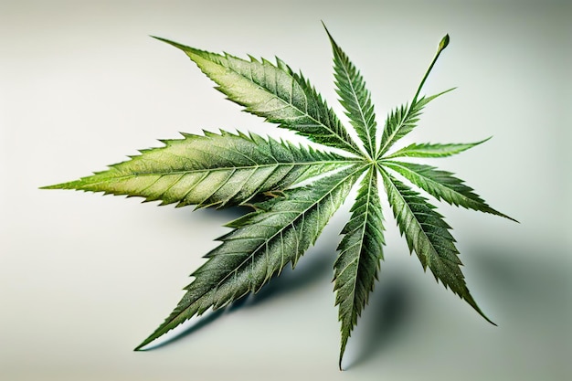 Up Close with Nature's Medicine A Cannabis Leaf Closeup Generative AI
