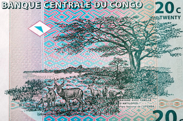 Upemba National Park from Congolese money