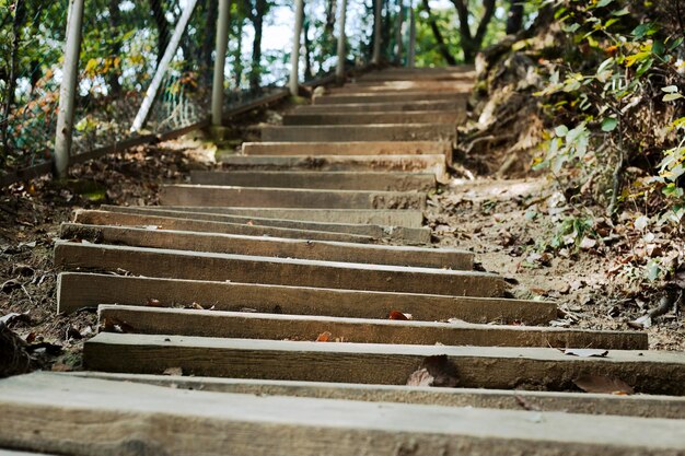 an uphill climb of stairs on a trail