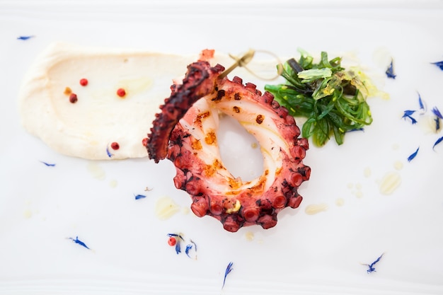 Upper view of grilled octopus tentacle