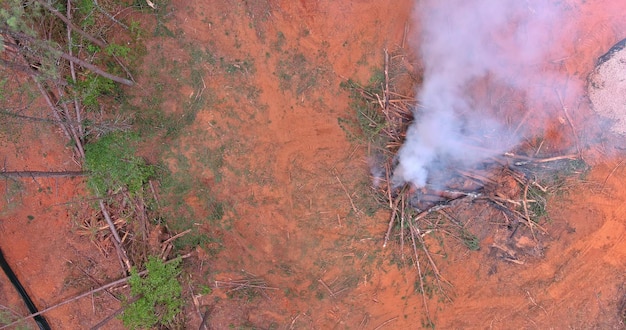 Uprooted burned trees process of preparing land for construction of houses based on results of burni