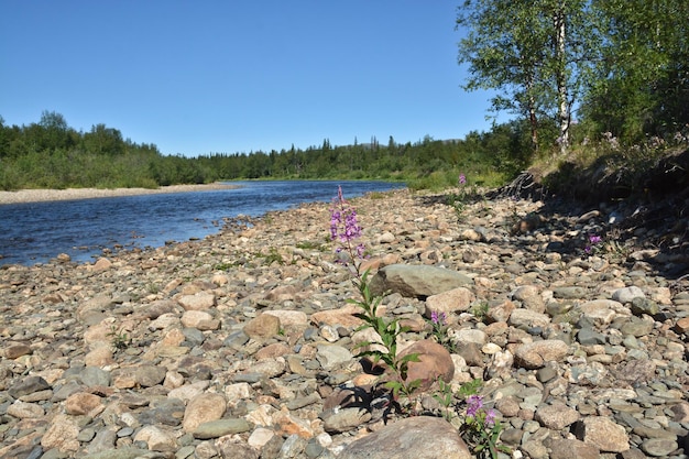 The Ural river Shchugor