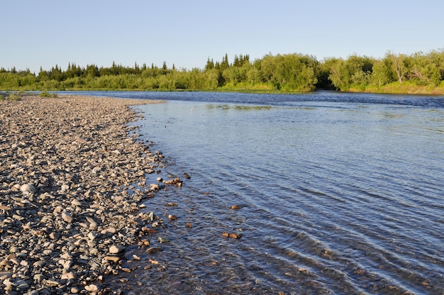 The Ural river