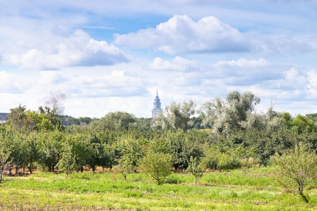 Urban apple tree orchard