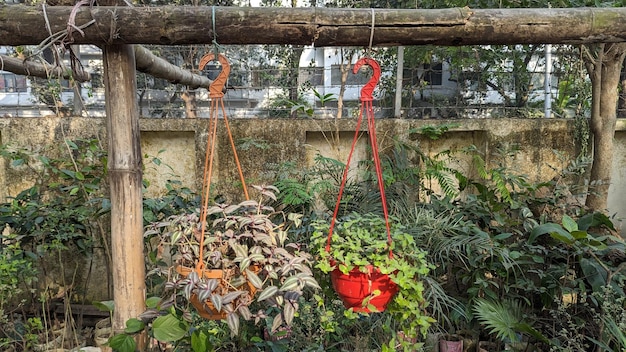 Foto serra da giardino verticale per agricoltura urbana