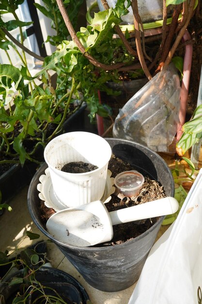 Urban Gardening in a HighRise Arranged Tools and Containers for a Planting Project