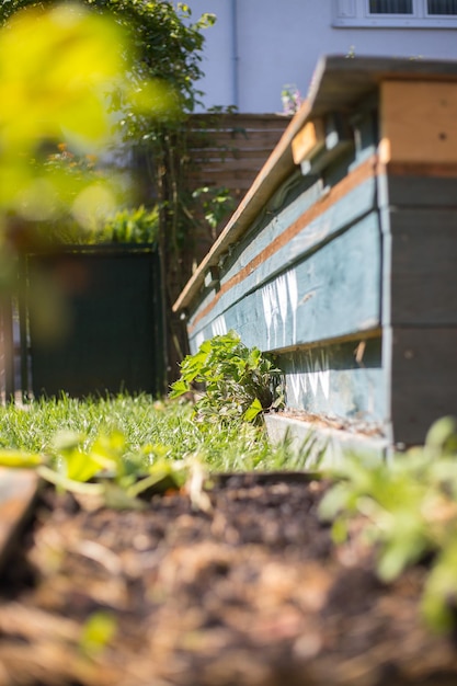 Urban gardening Salade groenten en kruiden op vruchtbare grond in de eigen tuin verhoogd bed