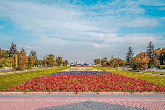 Urban landscaping Flowerbed in Moscow on the Sparrow hills