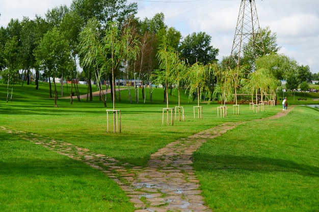 Urban landscaping with perennials in a landscape park