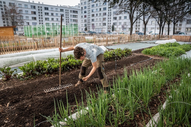 Urban market gardener in their urban farm in Lyon