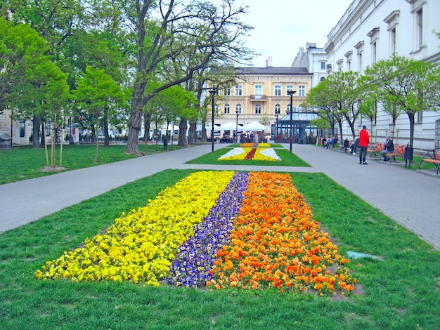 Urban nature Flowerbed with bright flowers lawn with blooming pansies of three colors yellow