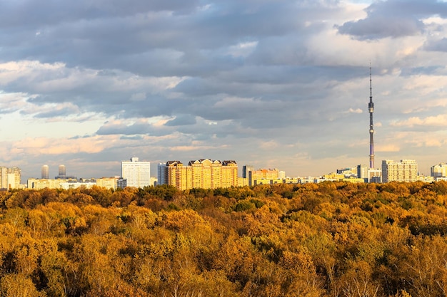 Городской парк и дома, освещенные осенним закатным солнцем