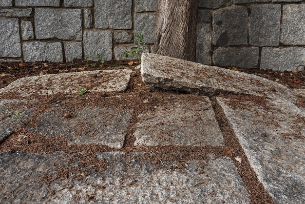 花崗岩のスラブ床を持つ都市公園