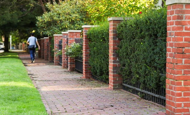 Urban sidewalk bathed in soft evening light inviting solitude and contemplation in the heart of the