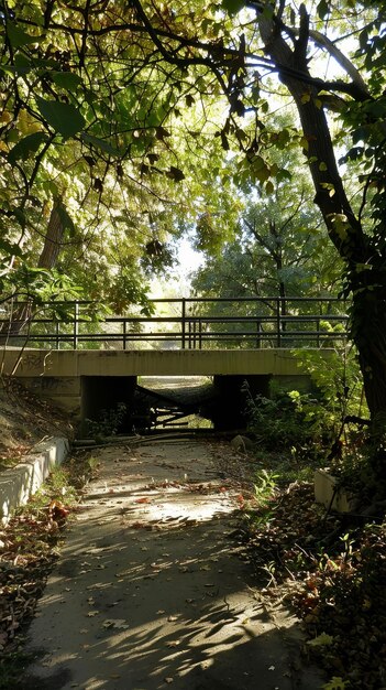 Urban wildlife corridor project stad voor dieren bruggen over boulevards