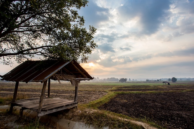 urnt padieveld met zonsonderganghemel in Thailand