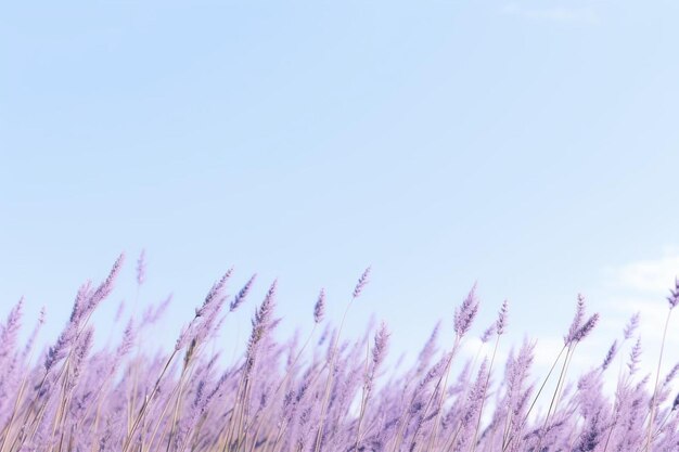 Photo urple_cascade_subtle_minimal_lavender_scene_134_block_0_0jpg