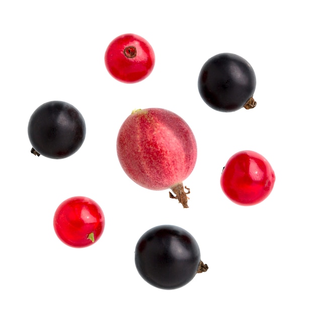 Ð¡urrants and gooseberries on white background. top view