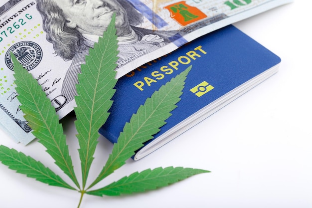 녹색 대마초 잎 위에 미국 달러 지폐. 돈과 마리화나. 비즈니스, 의학의 개념입니다. 달러 배경에 대마초입니다. 생체 인식 여권 표지