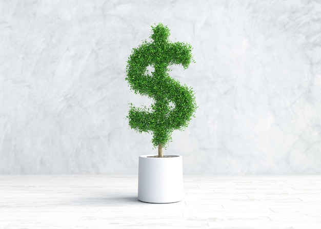 Us dollar shaped green plants in pot