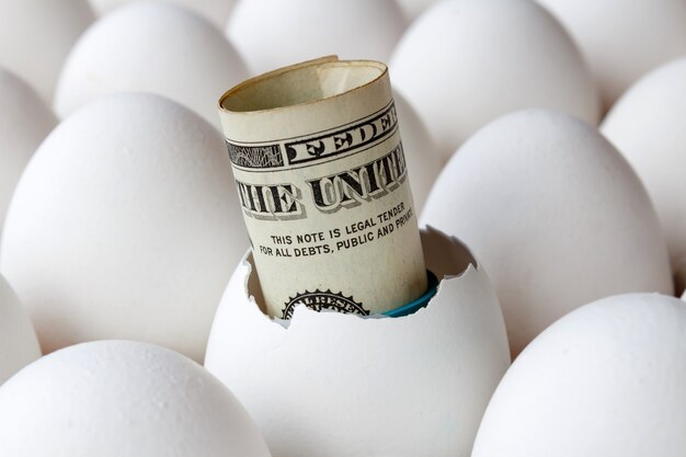 골판지 트레이 클로즈업에 있는 전체 흰색 닭고기 달걀 중 빈 달걀 껍질에 있는 미국 달러 지폐