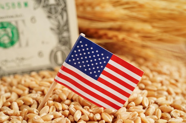 USA America flag on grain wheat trade export and economy concept