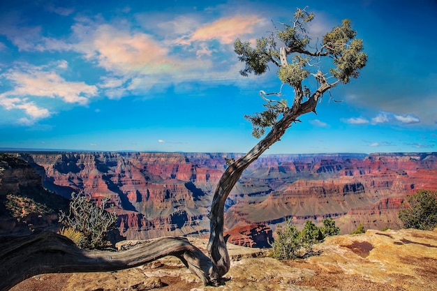 USA Arizona panoramic scenic views and landscapes of Grand Canyon national park