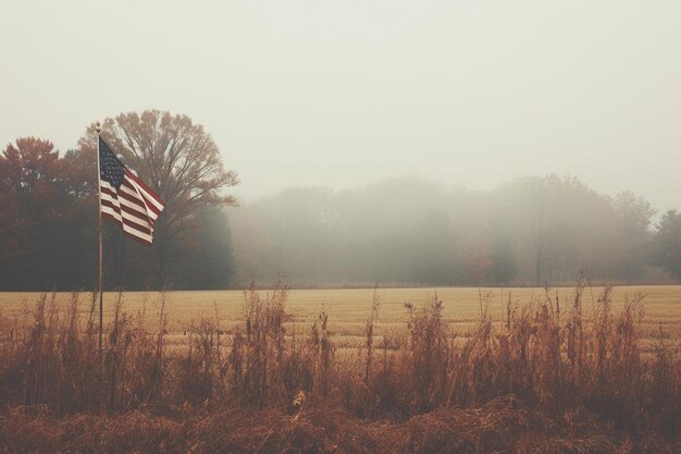 rainbow flag 4th of july