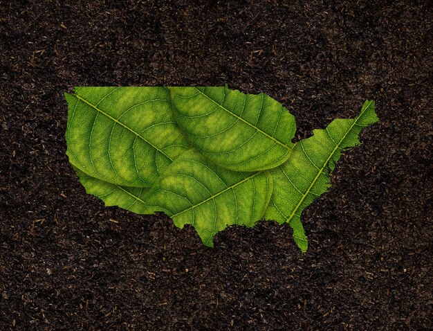 USA map made of green leaves on soil background ecology concept