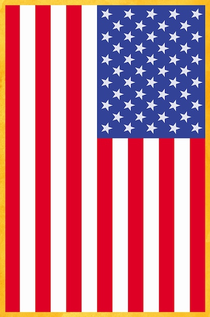 Usa vlag vector grunge ontwerp