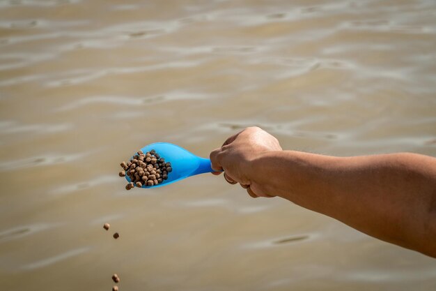 Use a blue spoon to feed the fish