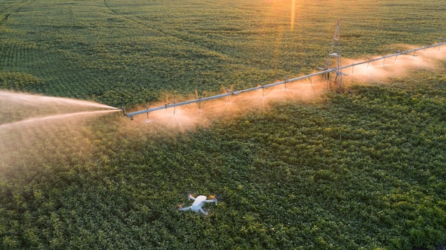 Use of a drone to monitor agricultural work