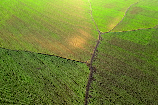 The use of drones in the agricultural industry