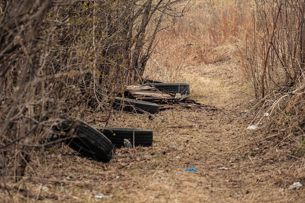 写真 枯れ草ゴミに捨てられる中古車のタイヤと環境汚染