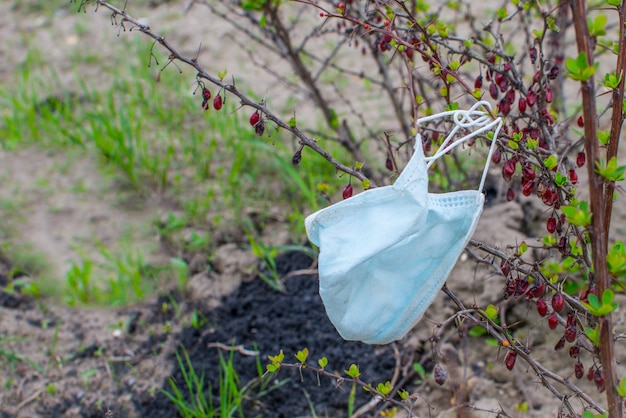 Used medical mask on the bush branches. Coronavirus quarantine ends, springtime. Health care and protection with copy space