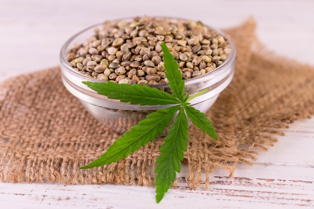 Useful hemp seeds in a glass bowl .Canabis.