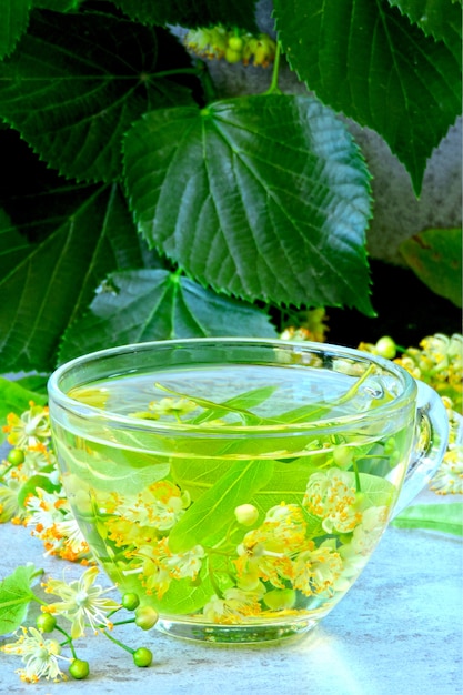 Useful hot lime tea. Fitness tea with linden.