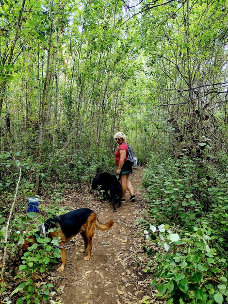 Using motorola phone in the forest