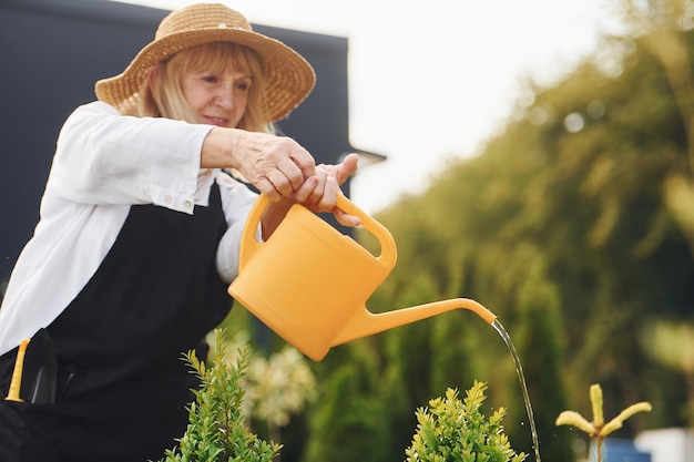 Using yellow colored watering can Senior woman is in the garden at daytime Conception of plants and seasons