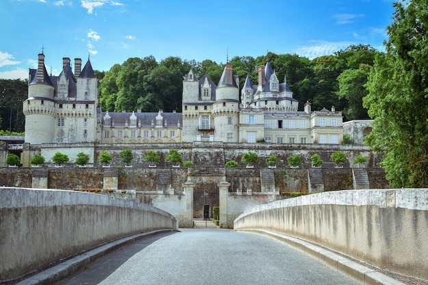 USSE CASTLE FRANCE