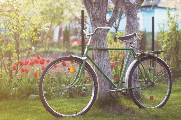 Foto retro bicicletta dell'urss nel giardino di primavera