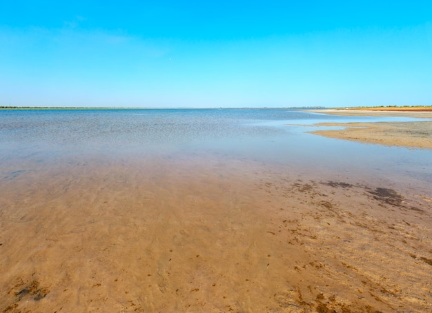 Ustrychne lake Lazurne Kherson Region Ukraine