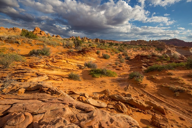 Utah landscapes