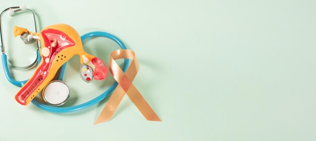 Uterine Cancer Awareness Month Peach Color Ribbon