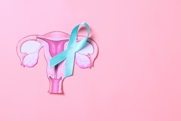 Uterus shape and teal awareness ribbon on pink background Female reproductive health concept