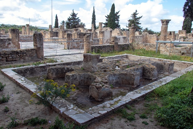 Photo utica an ancient phoenician and carthaginian city in tunisia