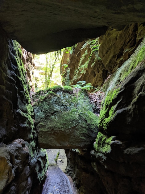 Foto uttewalder felsentor in svizzera sassone parco nazionale - parco nazionale sassone