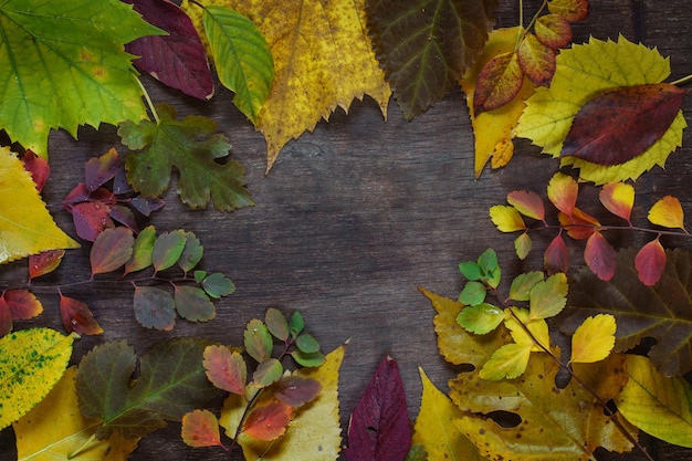 Foto utumn achtergrond van veelkleurige bladeren en druiven op een houten ondergrond